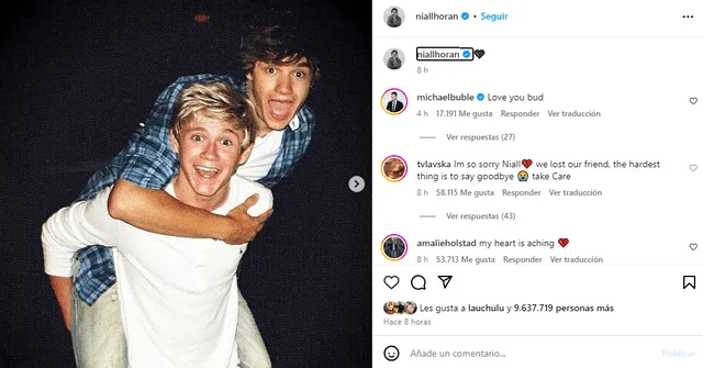  Niall Horan se pronuncia ante el fallecimiento de Liam Payne. Foto: Instagram    