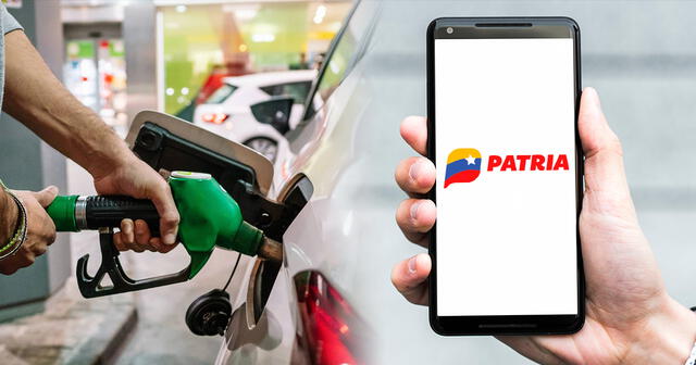 Para obtener gasolina subsidiada, debes contar con una cuenta en la plataforma Patria. Foto: composición LR/iStock/Freepik/Patria.