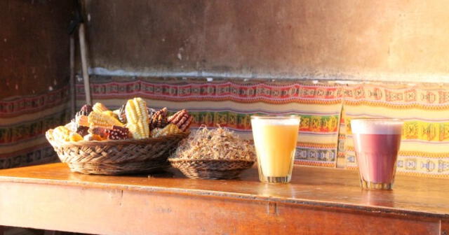 Era común que se ofreciera en ceremonias para fortalecer la cohesión comunitaria y como ofrenda a los dioses. Foto: Enigma Perú.   