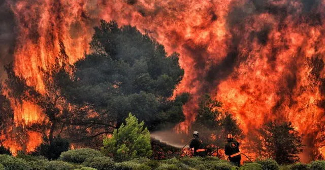 Bolivia se declaró en emergencia por incremento de incendios forestales en diferentes zonas del país. Foto: Difusión   