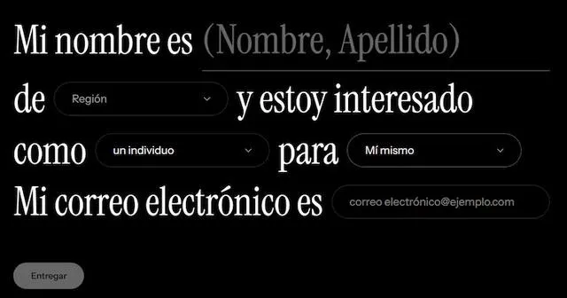El formulario que solicitantes a Gold Card deben completar. Foto: trumpcard.gov <br> El formulario que solicitantes a Gold Card deben completar. Foto: trumpcard.gov <br>