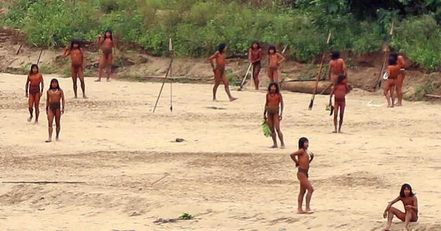 En los últimos días más de 50 indígenas de los Mashco Piro fueron captados cerca del pueblo Yine de Monte Salvado. Foto: Survival Internacional  