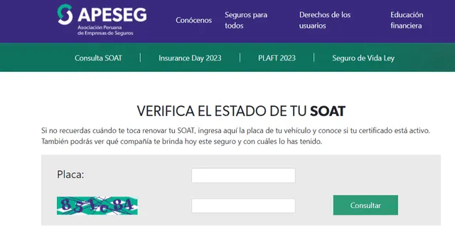  ¿Cómo verificar el estado del SOAT en línea?. Foto: Apeseg.   