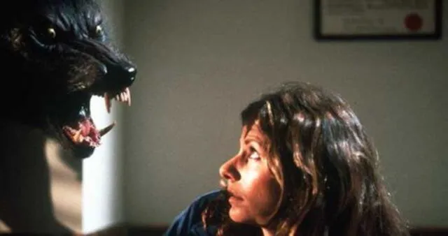 Aullidos se estrenó en 1981 y fue bien recibida por el público. Aullidos se estrenó en 1981 y fue bien recibida por el público.