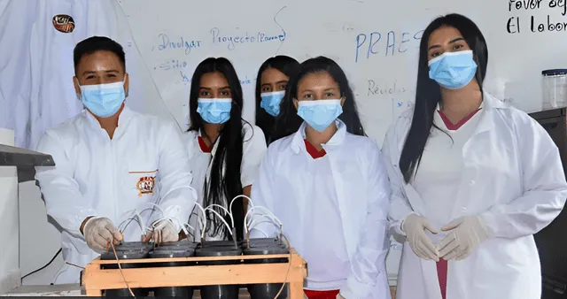 Estudiantes con una prueba experimental de una batería eléctrica a base de cáscara y mucílago del fruto de café. Foto: William Hernández   