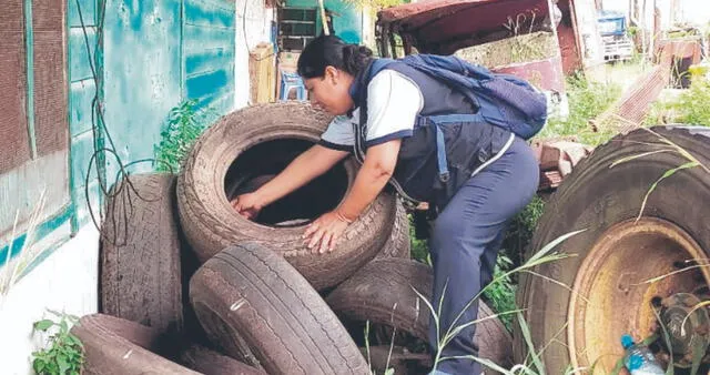  Trabajo. Susana Odiaga evita que los depósitos con agua se conviertan en criaderos de zancudos. Foto: difusión   