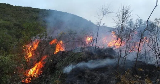 Una de las causas de los incendios forestales es la quema de residuos de cultivos. Foto: difusión   