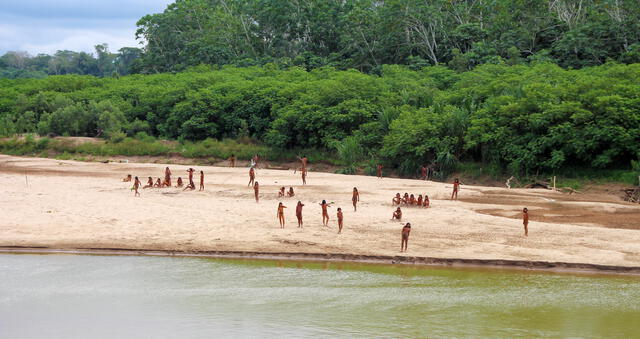 De acuerdo a los datos del Ministerio de Cultura (MINCUL), los Mashco Piro son una comunidad indígena seminómada de unos 750 miembros. Foto: Survival Internacional  