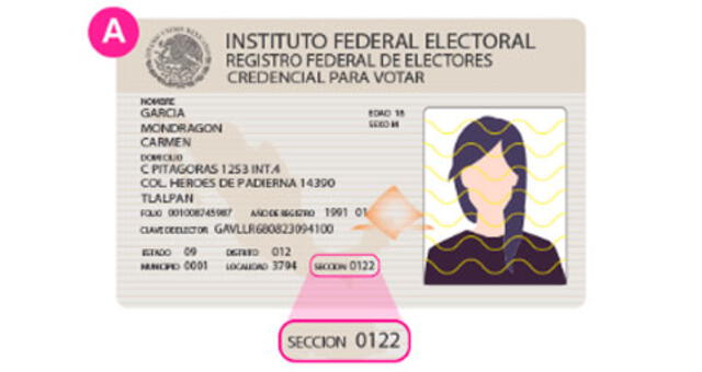 La sección es un dato que aparece en la parte baja de tu credencial para votar. Foto: INE