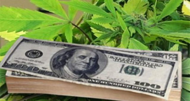 Proponen legalizar la marihuana para pagar pensiones 