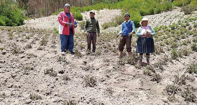 SEQUÍA. Hasta finales de noviembre no hubo lluvias en las provincias del Cusco, lo que dañó los primeros cultivos