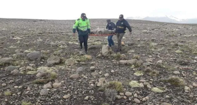 Pastorcita muere al ser impactada por rayo en Arequipa