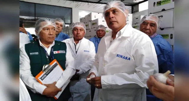 Arequipa: Ministro Gustavo Mostajo preocupado por la producción y calidad del ajo a nivel nacional