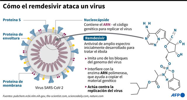 Diagrama explicativo sobre cómo el medicamento antiviral remdesivir actúa contra la replicación del coronavirus. Infografía: AFP