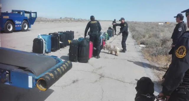 Paralizan actividades en aeropuerto de Arequipa por alerta de bomba [FOTOS y VIDEOS]