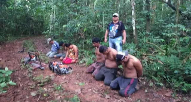 Detienen a cinco peruanos por tala ilegal en Bolivia [FOTOS]