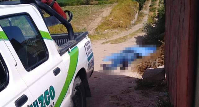 Presumen que hombre encontrado muerto en Arequipa fue víctima de peperas [FOTOS]