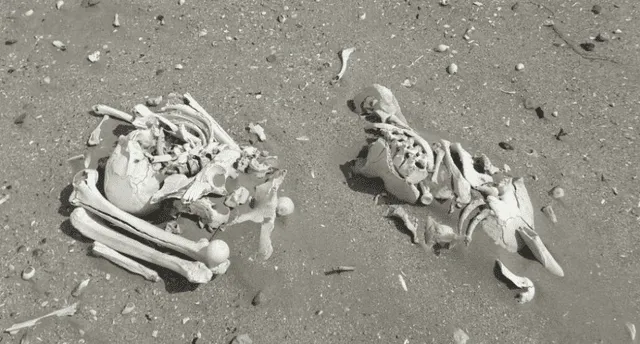 Argentina: hallan restos humanos de 3.000 años tirados en una playa [FOTOS]