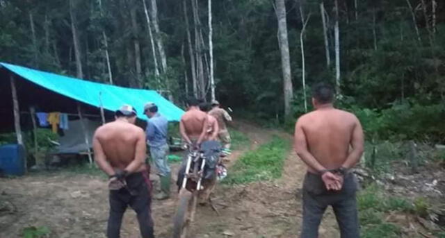 Detienen a cinco peruanos por tala ilegal en Bolivia [FOTOS]