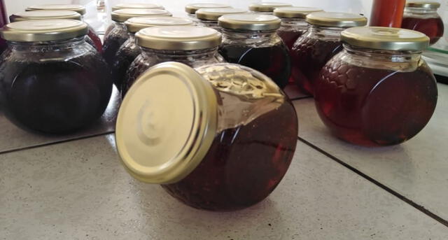 Arequipa: Alumnas lograron primera producción de miel de abeja de la Unsa [FOTOS]