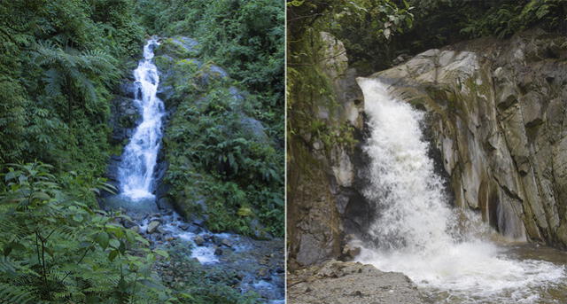 CATARATAS. Las cascadas de Alcamayo y Mandor son los nuevos atractivos. CATARATAS. Las cascadas de Alcamayo y Mandor son los nuevos atractivos.