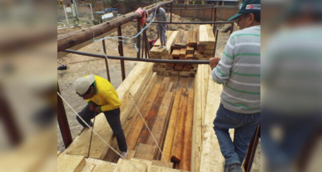 En Arequipa decomisan cedro de procedencia ilegal valorizado en más de 26 mil soles [FOTOS y VIDEO]