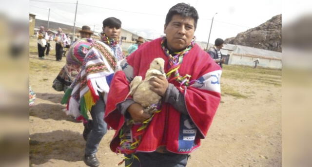 La singular forma de festejar los carnavales con captura de animales exóticos en Cusco [FOTOS]
