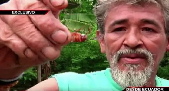 ¿Quién es Benicio Ramirez, el ecuatoriano que come insectos y aves de carroña por placer?