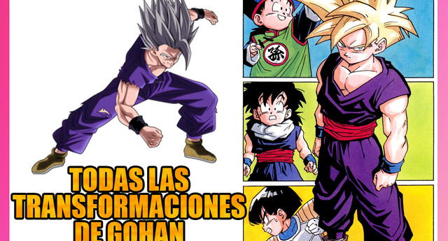 Además de Gohan Blanco , el hijo de Goku tiene otras 11 transformaciones | Foto: Composición Lol- GLR
