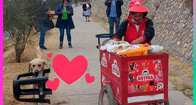 El perrito cautivó a usuarios en redes sociales por 'ayudar a vender helados' | Foto: composición Lol - GLR