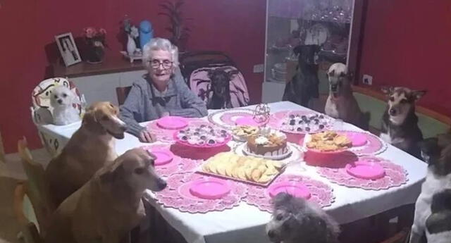 Mujer cumplió 89 años y lo celebró una fiesta en compañía de sus 10 perritos