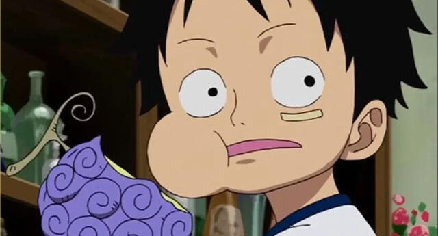 Mayumi Tanaka sorprende al revelar que nunca ha leído "One Piece". Foto: Toei Animation