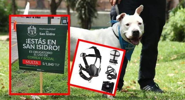 El 'error' de la Municipalidad de San Isidro con letrero de mascotas que causó risas en redes