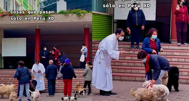 TikTok: señoras llevan a sus perros a una parroquia para que el sacerdote los bendiga