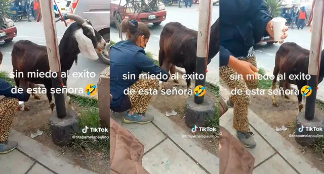 Peruana sorprende al vender leche de cabra ordeñada en plena vía pública