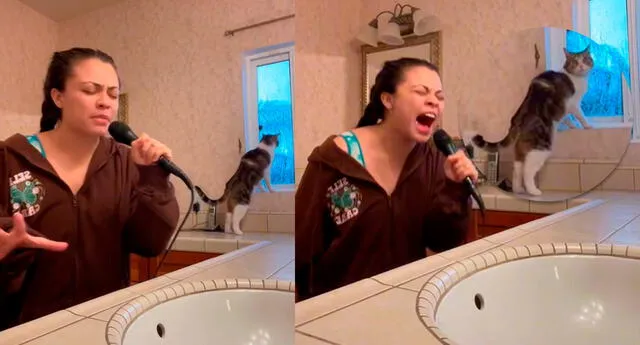 TikTok: joven canta en el baño y la sorpresiva reacción de su gato al escucharla se vuelve viral