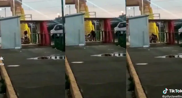 Hombre con presunta discapacidad baja de puente cargando su silla de ruedas: "El puente milagroso"