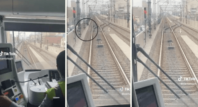 Perrito fue rescatado de la línea 1 del Metro de Lima. Foto: composición LOL / TikTok: @cantutagirl