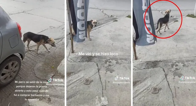 El clip ha logrado más de treinta y cinco millones de reproducciones en TikTok. Foto: composición LOL/captura de TikTok/@soycesargeme