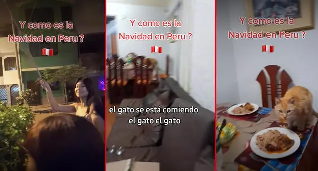 Familia peruana celebra la Navidad viendo los fuegos artificiales y gato aprovecha para comerse la cena