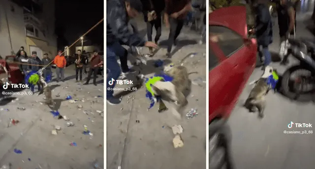 Perrito se vuelve viral tras robarse una piñata en plena celebración. Foto: composición LOL / TikTok: @paco_68_p3