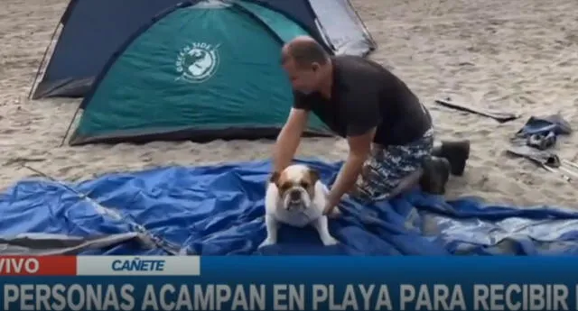 Familia le arma una carpa a su mascota para recibir el Año Nuevo en playa de Cañete