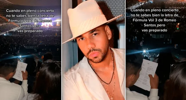 El video del curioso episodio acumuló más de 129.000 reproducciones en TikTok. Foto: composición LR/captura de TikTok/Romeo Santos/Instagram