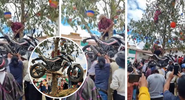 Diversos medios de comunicación llegaron hasta el distrito de Churubamba en Huánuco para cubrir la curiosa noticia. Foto: composición LOL/captura TikTok/Huánuco Noticias