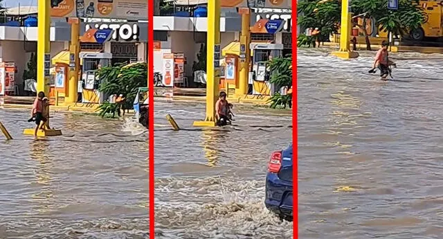 Los usuarios en TikTok felicitaron la acción del menor al proteger a su mascota. Foto: composición LR/captura de TikTok/@RocíoSalambay