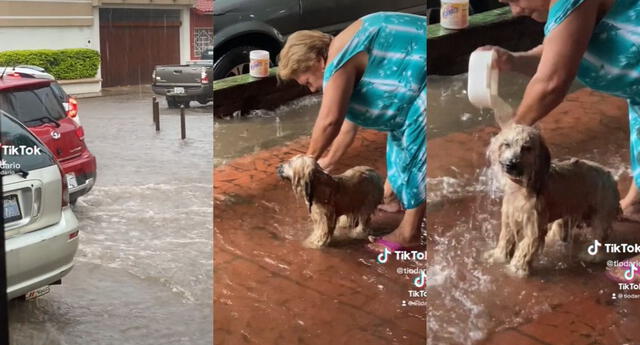 El material audiovisual causó asombro entre los usuarios, quienes lo hicieron viral. Foto: captura TikTok/tiomario