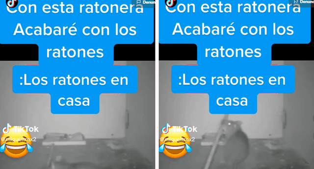 Los usuarios quedaron atónitos al ver la astucia del roedor para evitar ser atrapado. Foto: Composición de LR/TikTok/@Migueltrox2