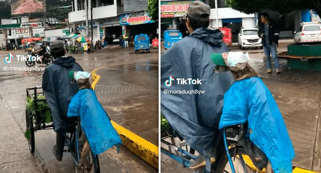 El video de la curiosa escena sumó miles de reproducciones en TikTok. Foto: composición LOL/captura de TikTok/@moraduqh8yw