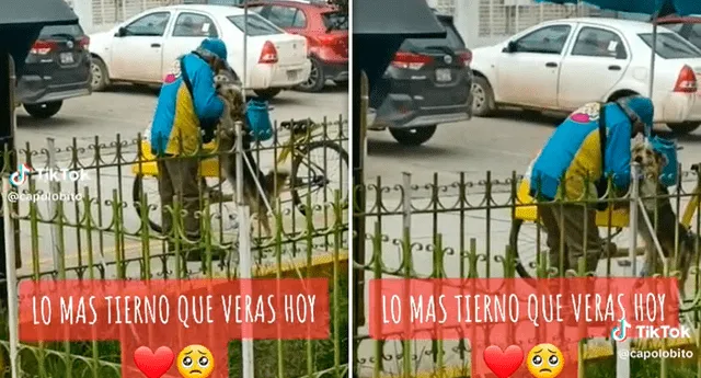 El video de la tierna escena sumó más de 35.000 reproducciones en TikTok. Foto: composición LOL/TikTok/@capolobito