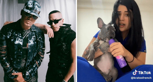 El video protagonizado por el perrito y su dueña sumó miles de reproducciones en TikTok. Foto: composición LOL/captura de TikTok/Wisin y Yandel/Instagram